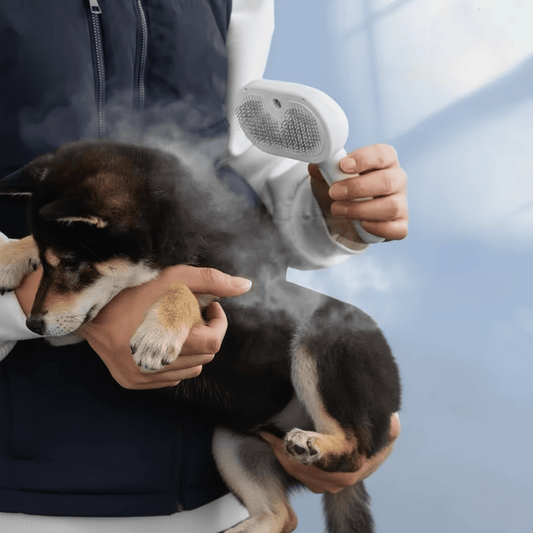 Paws Furfinity 1 Rechargeable Mist Grooming Brush