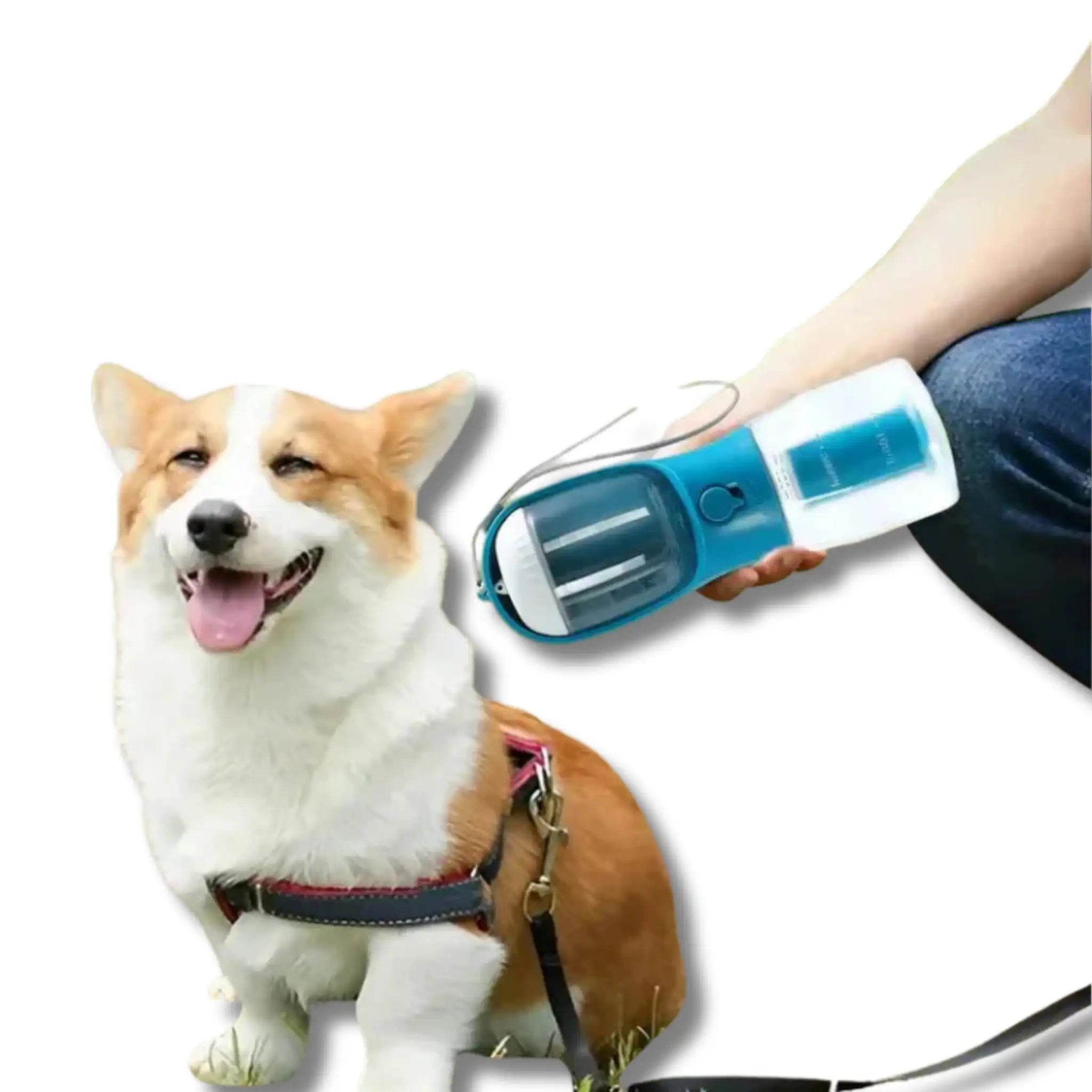 3-in-1 Portable Dog Water Bottle