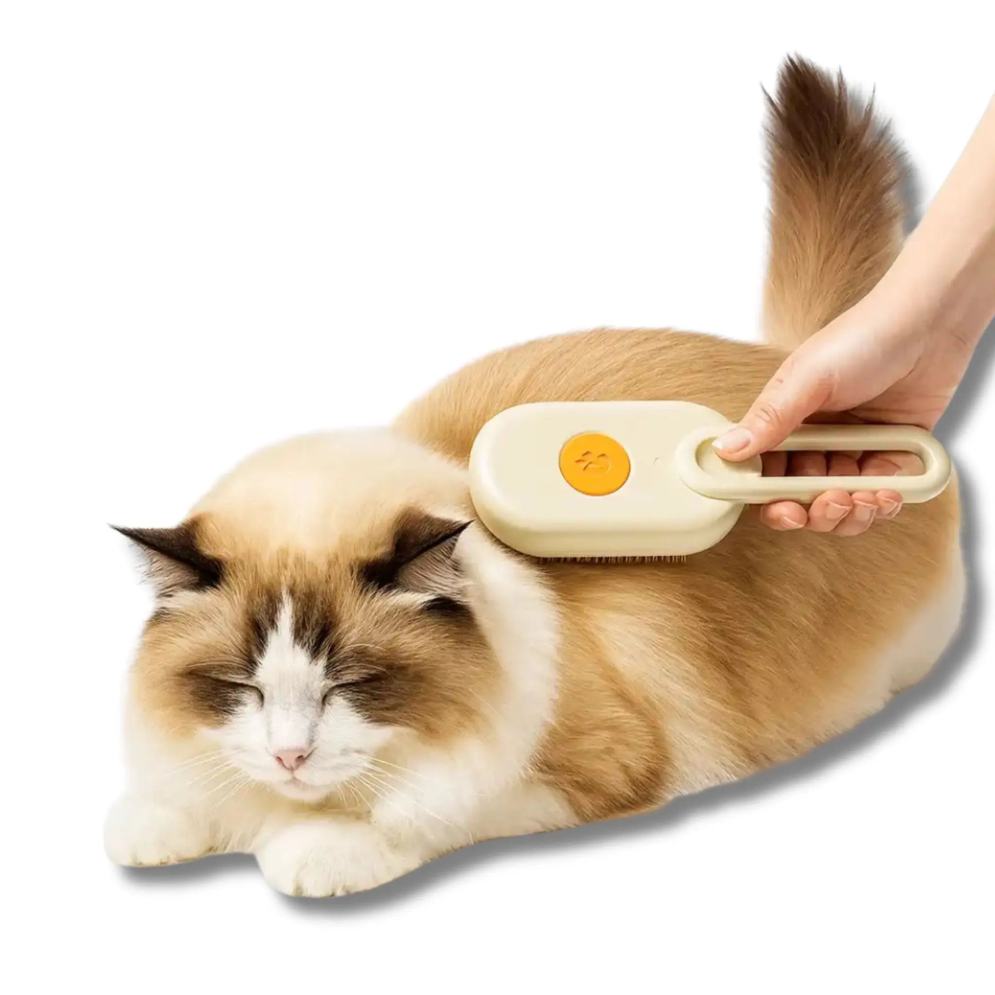 3-in-1 Steam Pet Grooming Brush