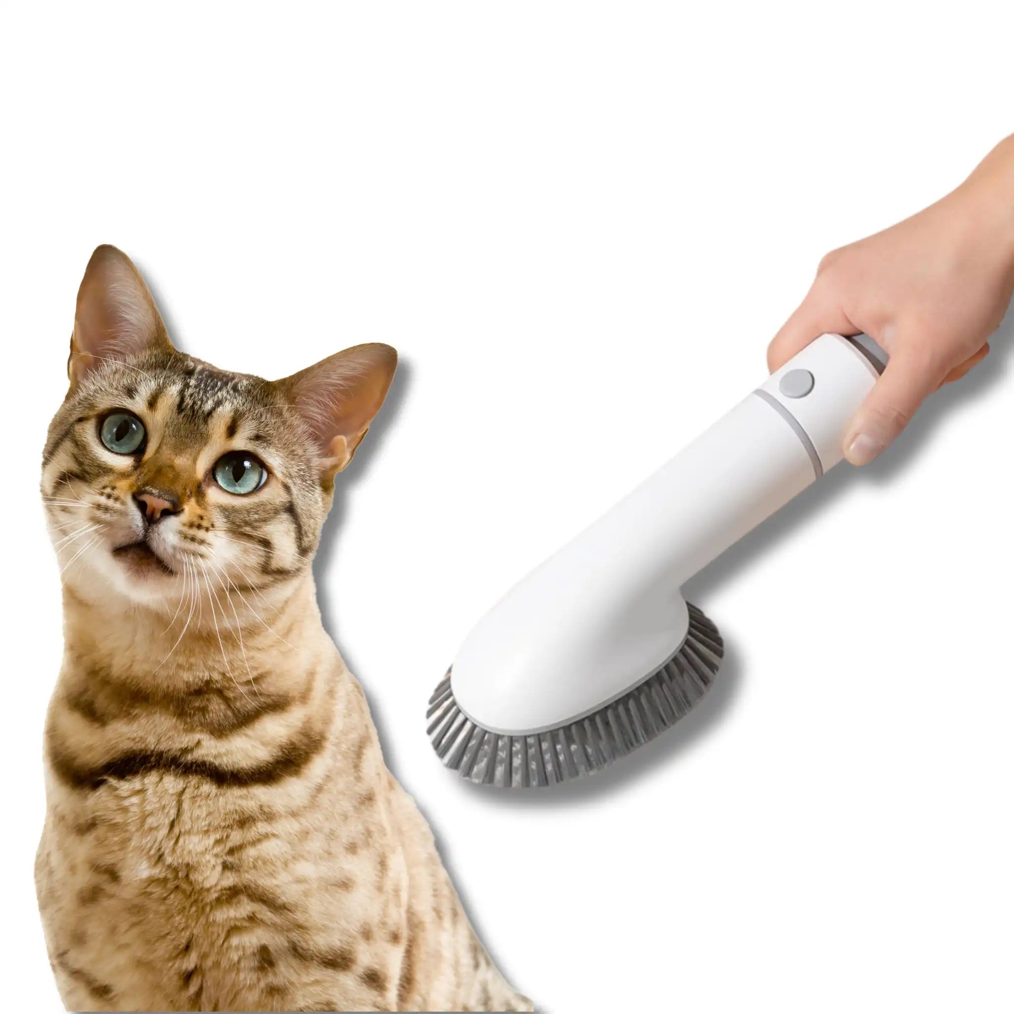 Multifunctional Grooming Vacuum