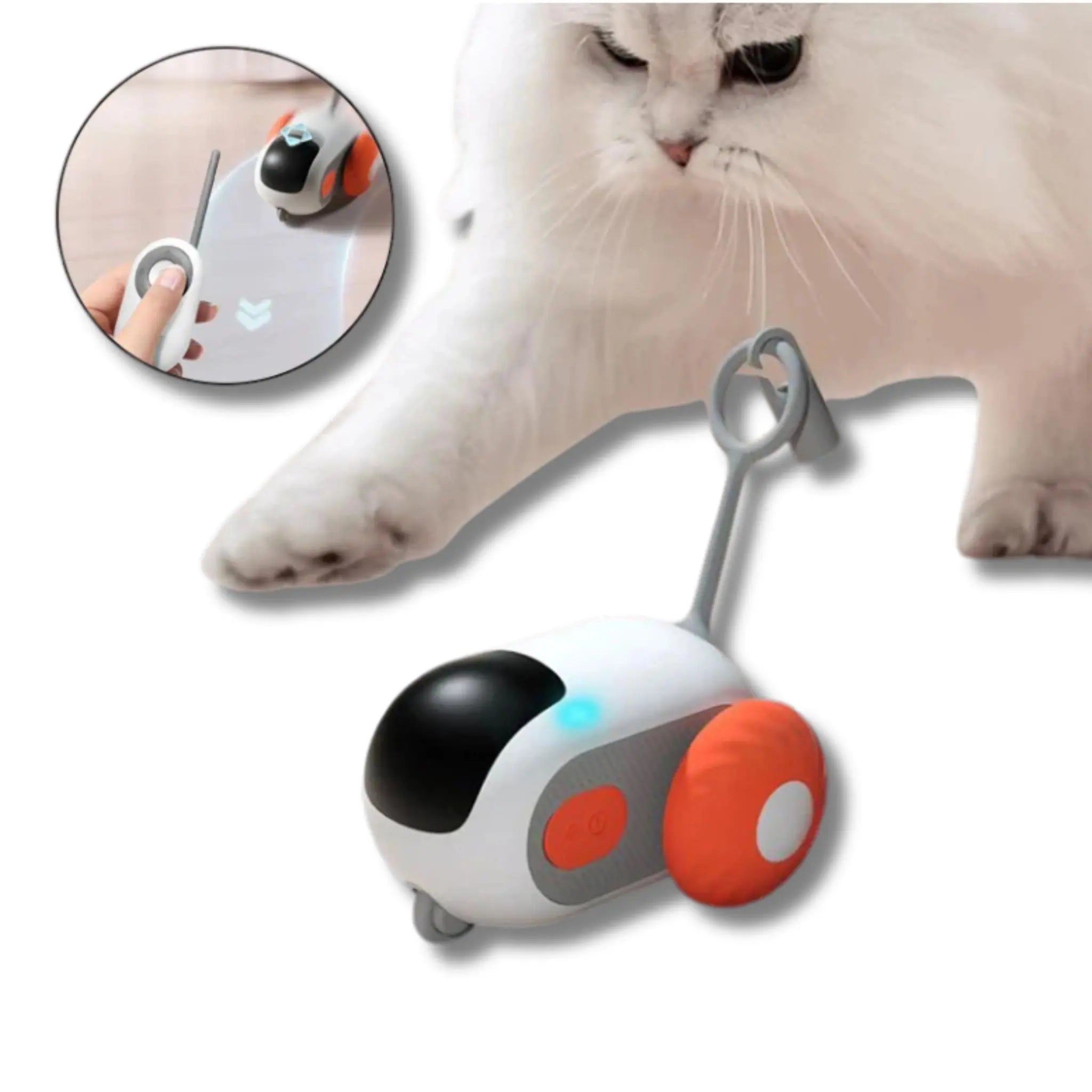 Crazy-Joy Remote Control Cat Car