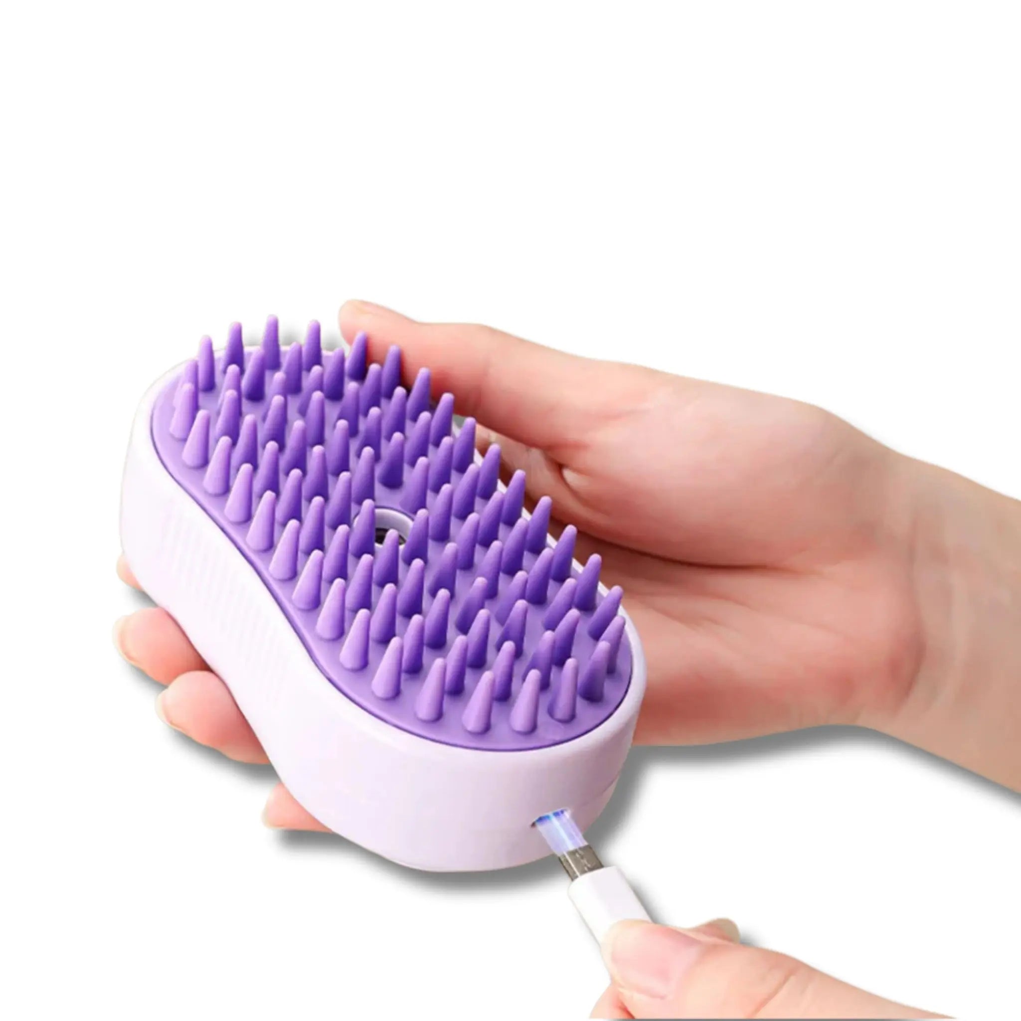 3-in-1 Steam Pet Grooming Brush