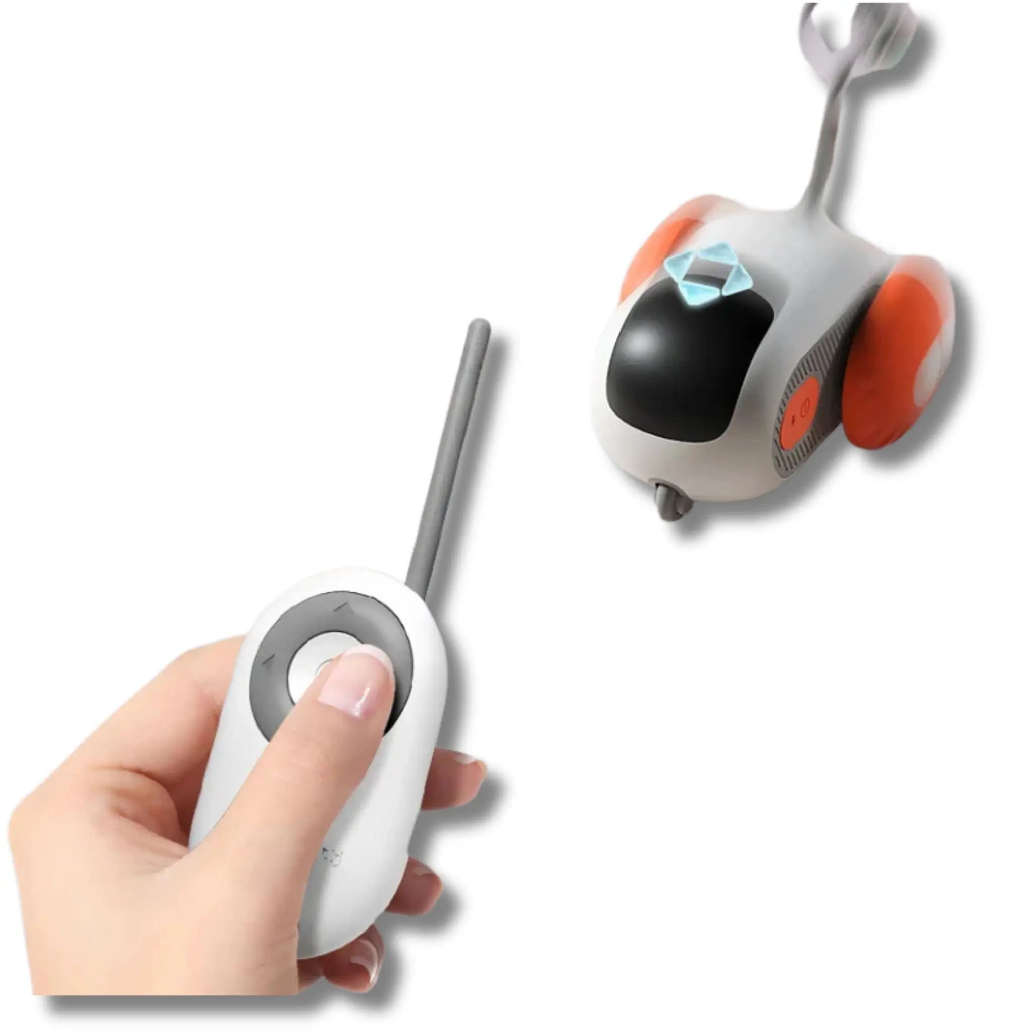Crazy-Joy Remote Control Cat Car