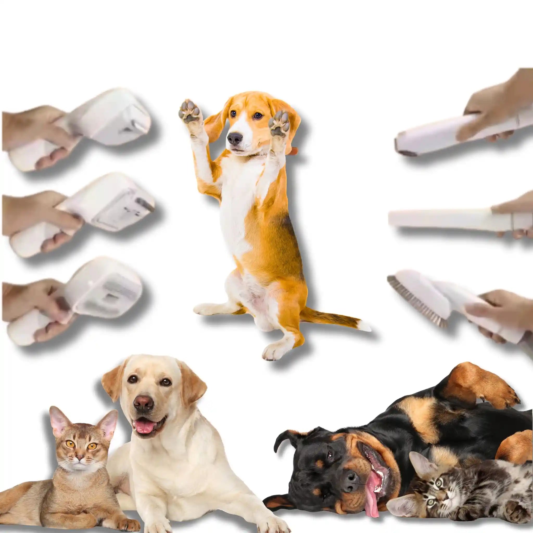 Multifunctional Grooming Vacuum