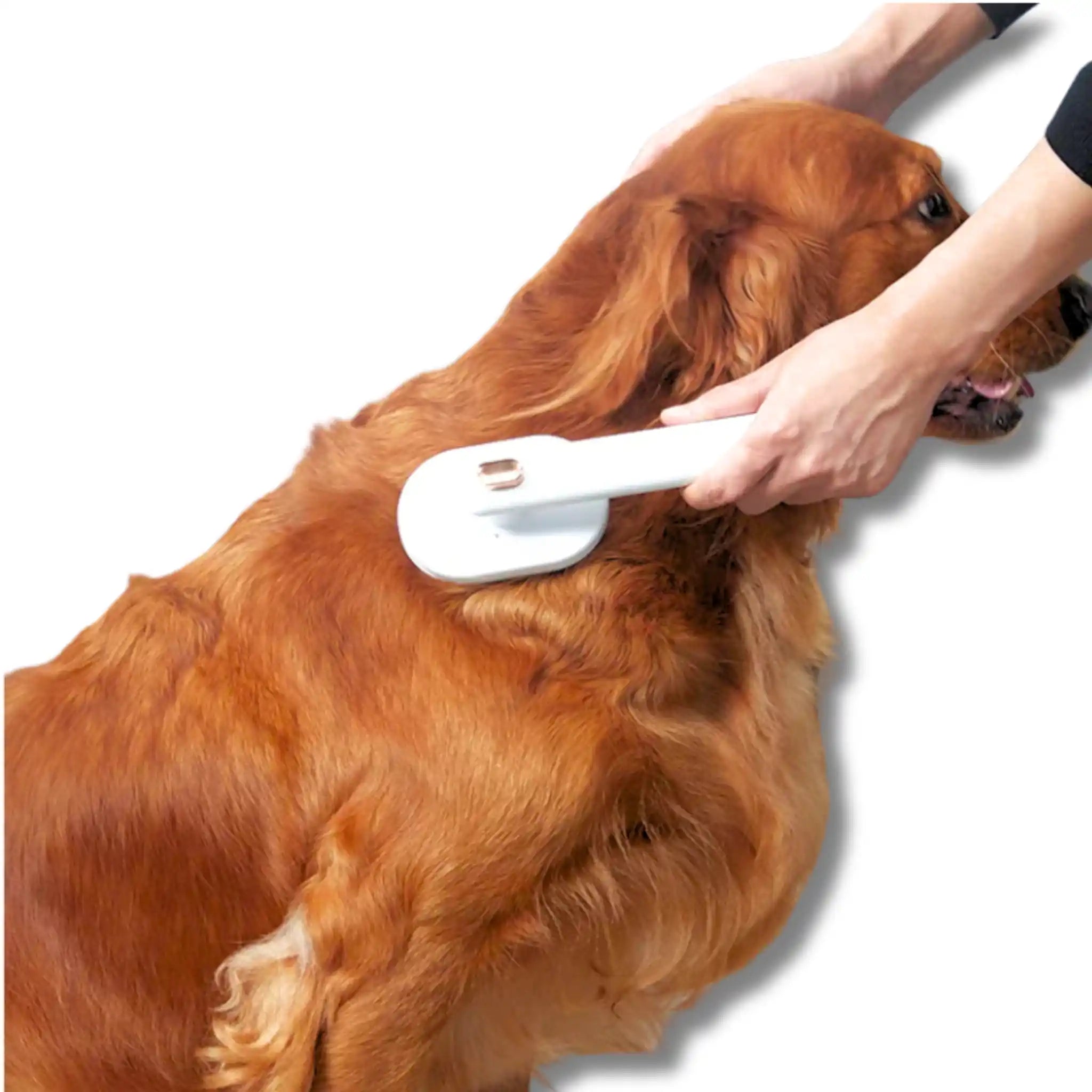 Self-Cleaning Pet Grooming Brush