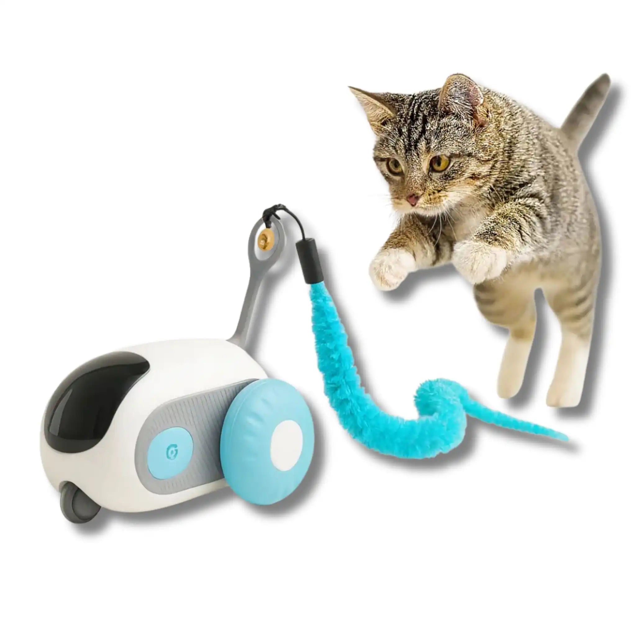 Crazy-Joy Remote Control Cat Car