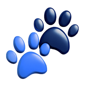 Paws Furfinity