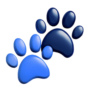 Paws Furfinity