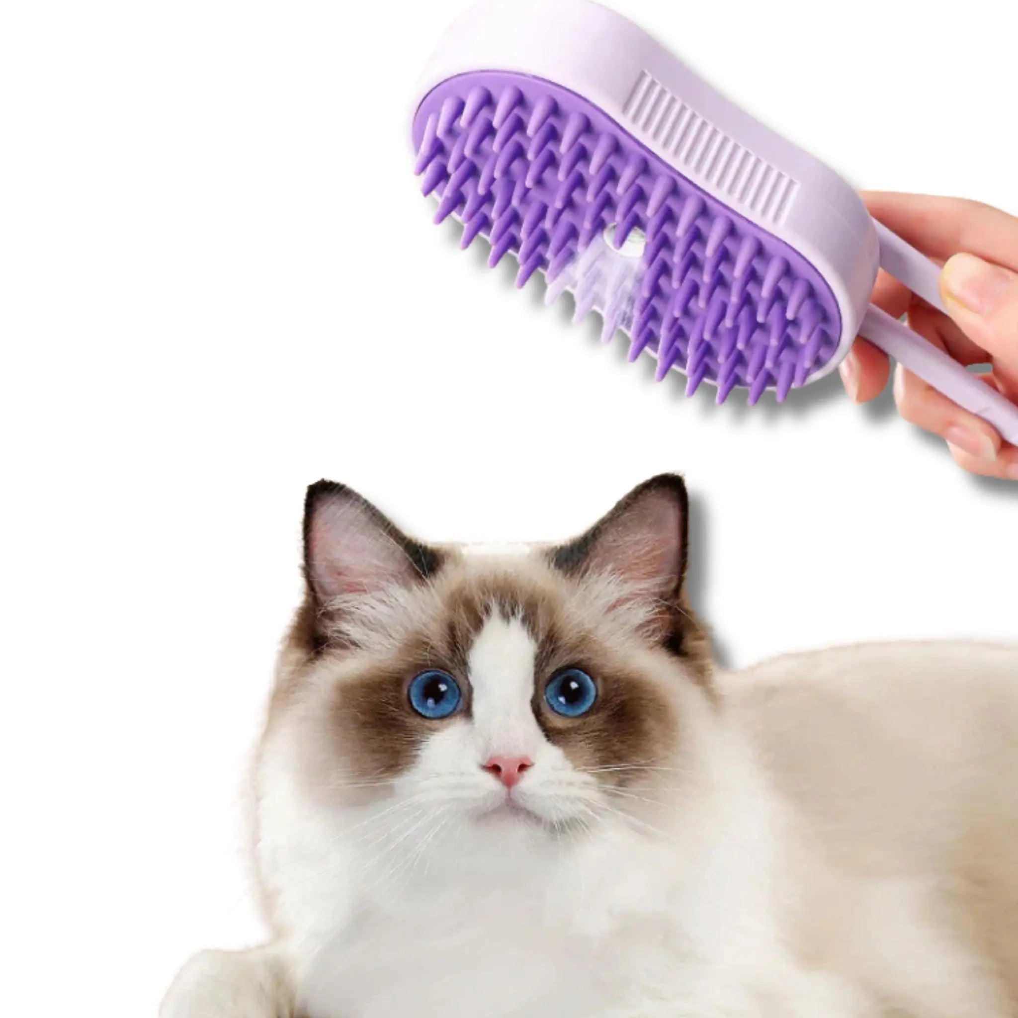 3-in-1 Steam Pet Grooming Brush