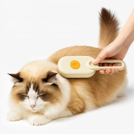Paws Furfinity 1 3-in-1 Rechargeable Steam Pet Grooming Brush