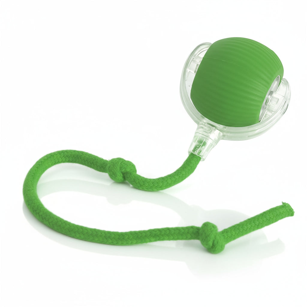 Paws Furfinity 1 Green Rolling Ball Ball For Dogs Doggie Ball Interactive Dog Smart Ball Toy Interactive Cat Ball Toy 360  Smart Automatic Rolling Pet Ball