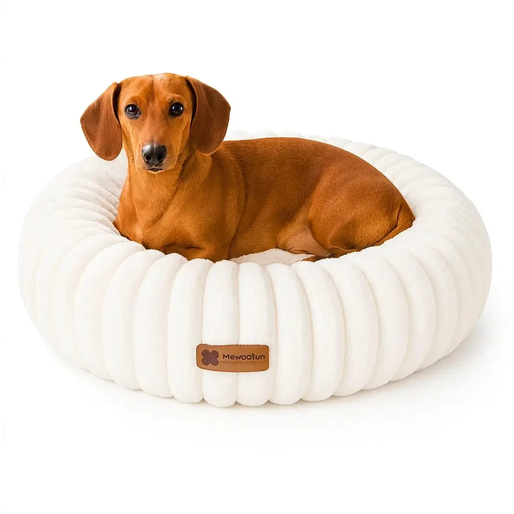 Paws Furfinity 1 MEWOOFUN Calming Donut Dog Bed