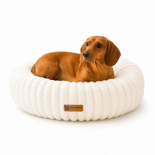 Paws Furfinity 1 MEWOOFUN Calming Donut Dog Bed
