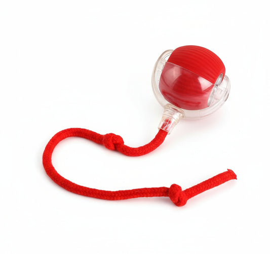 Paws Furfinity 1 Red Rolling Ball Ball For Dogs Doggie Ball Interactive Dog Smart Ball Toy Interactive Cat Ball Toy 360  Smart Automatic Rolling Pet Ball